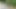 Lara CumKitten - Teaser Intro
