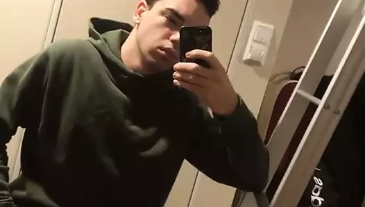 veselinoviç stefan