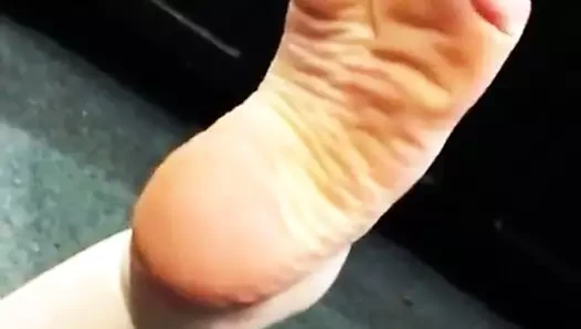 Arab sole
