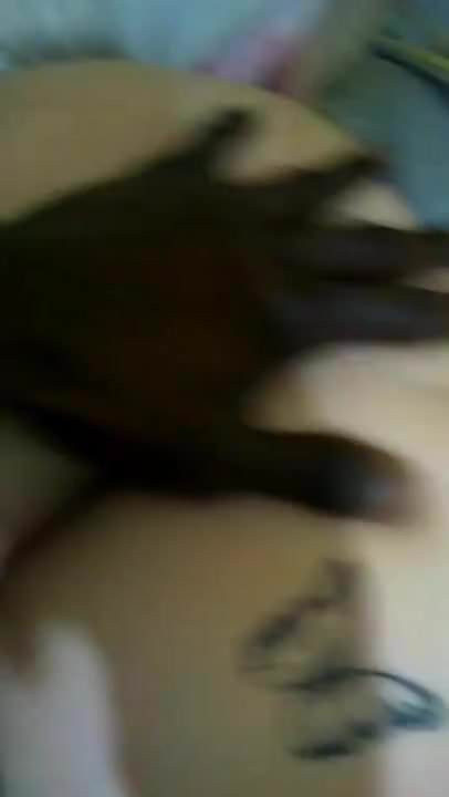 zenci