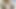 ドイツのスタッドが深くていいお尻を突きつける