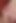 Go WILD on CAM as a huge SLUT and have a HUGE CUM