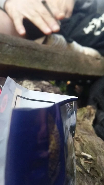 Bitch suck my cock in the woods