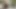 Hot fuck in Forest
