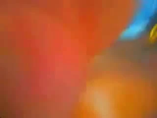 Doggy then anal