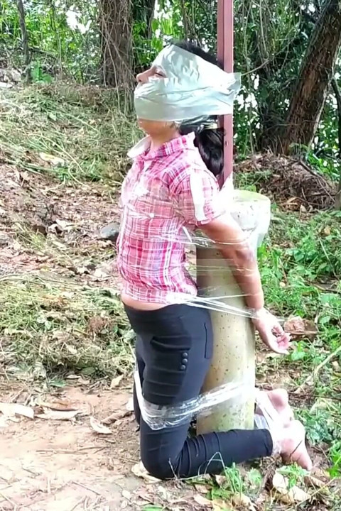 Nancy Drew's Outdoor Bondage Adventure