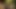 Kylie Ireland teaser 5