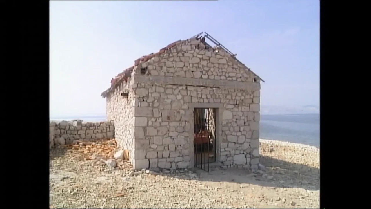 Midnight Wild Encounter (Full Movie)