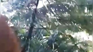 インドの浮気Bhabhi浮気セックス屋外ジャングル