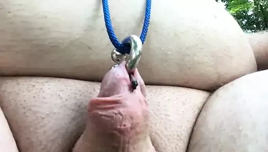 Formicophilia?