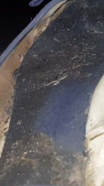 I love to lick my dirty and smelly flats | Clip 1