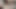 Two Hung cock trans girls