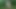 Girl does sexy posing in the forest