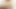 Cam Girl in Tan Tights