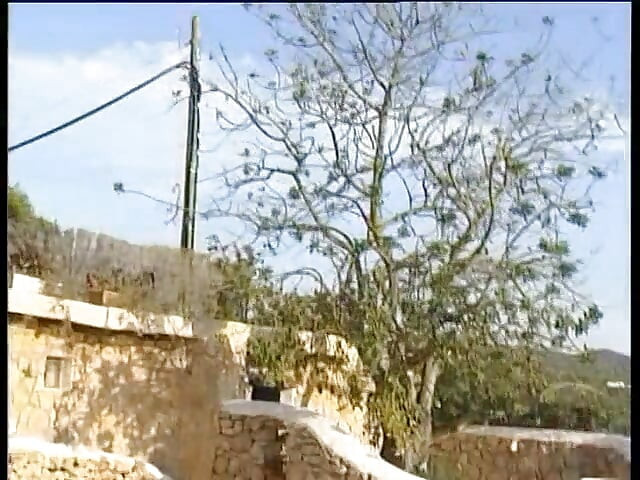 Exotic blonde sucking his cock