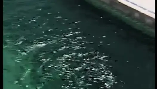 Я лесбо, и я обожаю это