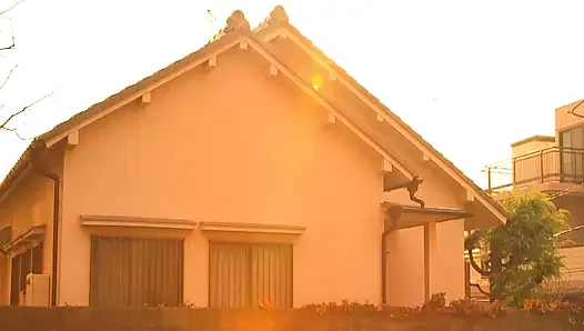 A063G03 The of a fool who witnessed her mother's affair in the living room in the early afternoon became erect...