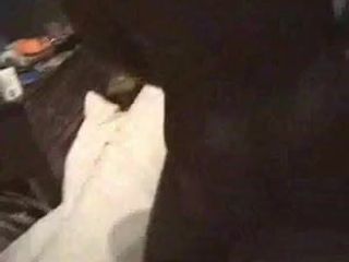 Белая жена с завязанными глазами с черным любовником - межрасовое домашнее видео (часть 2 из 2)