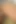 21sextreme - küçük frida için büyük bir yumruk