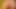 おまんこにペニスが必要