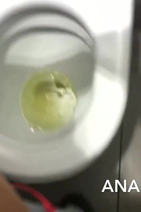 Slut Teen Piss in Kfc Toilet