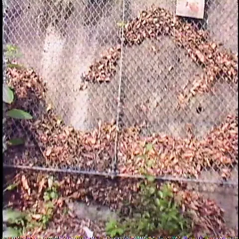 JP O4M 183