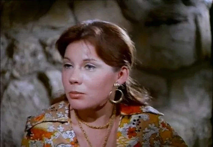 辍学的妻子 (1972)