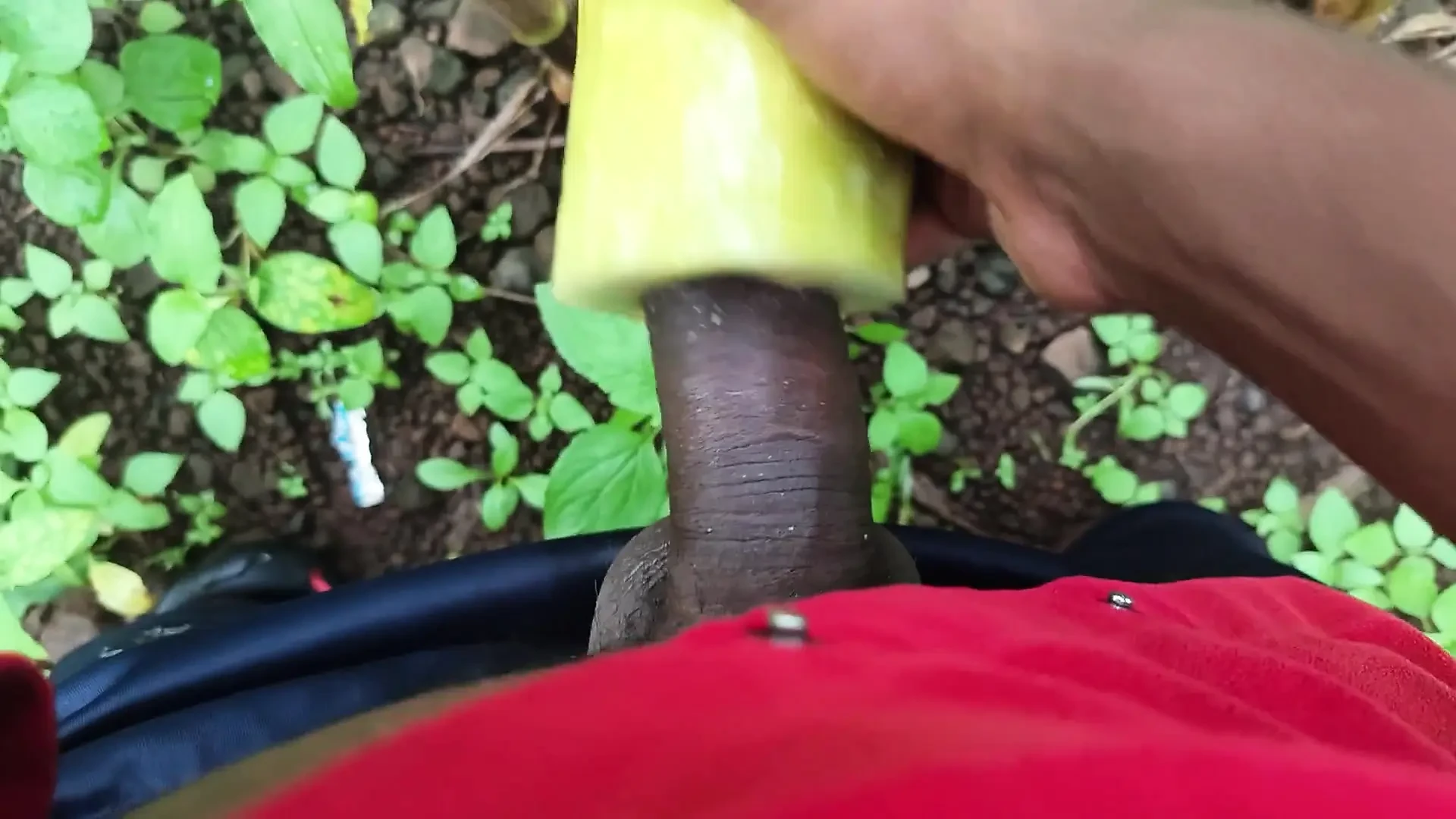 ארץ שחורה דסי
