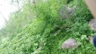 Предварителен преглед на видеоклип