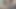 Hard cock Masturbation by Indian gay
