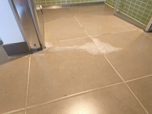 Cumshot. 1