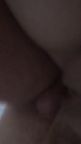 Bosnjo i banjalučanka