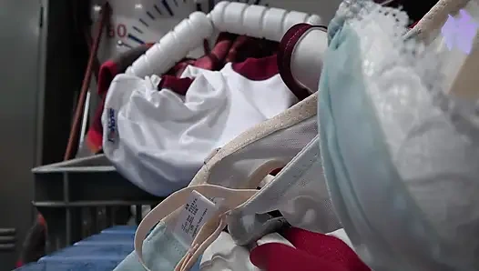 Hentai pelacur Asia sange 142