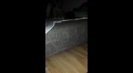 Voli da gleda