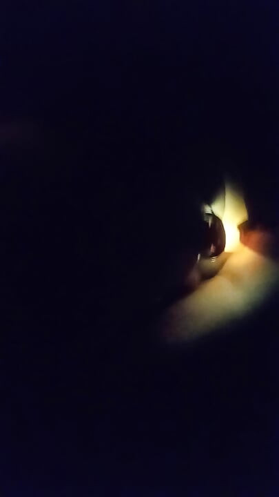 Night dildo walk