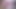 Purple cockhead shrinkage