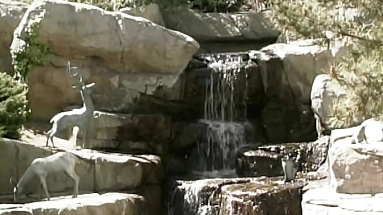 Heiße Schulmädchen in Aktion