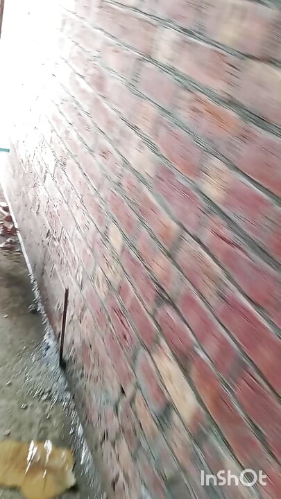 Pakistan viral video Pakistani TikTok star viral sexy video