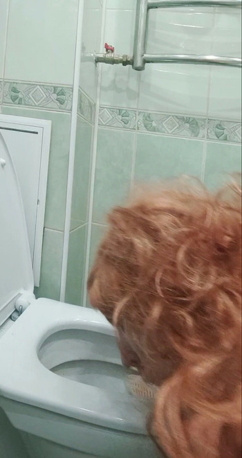 Toilet Fuck