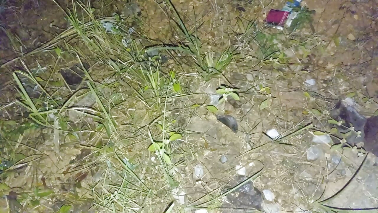 Nepali aunty lover night doggy styal sex video nepali audio