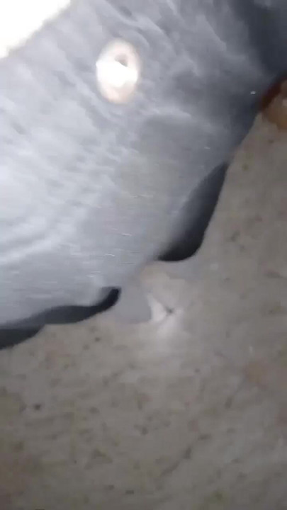 I'm trying to sleep but my penis won't let me.
