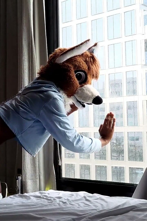 Bareback Femboy Furry Fursuit Fuck in Front of Window