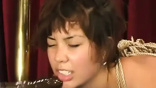 Mayamodels