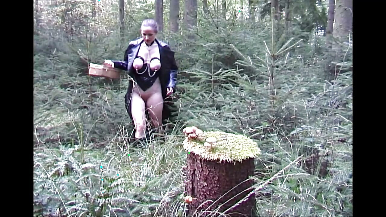 Šukání v kukuřičném poli s maskovaným cizincem