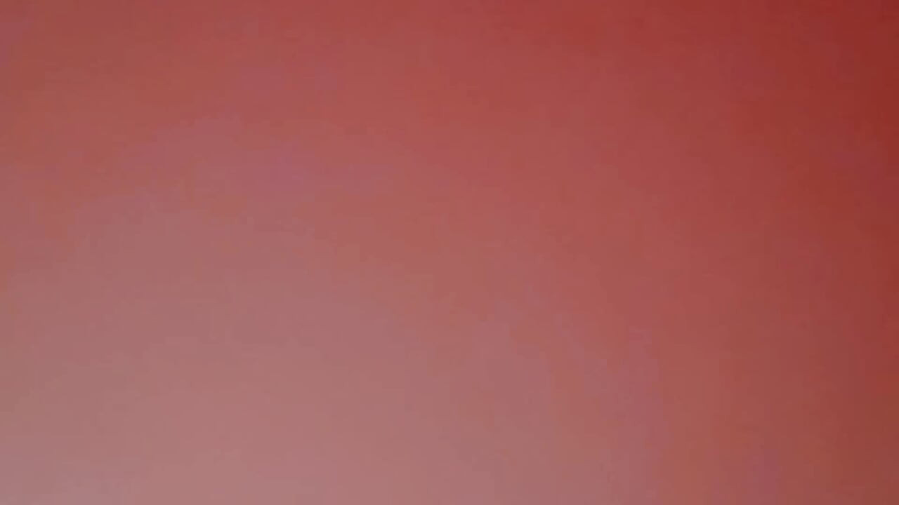 タイニーのラッキーデー