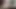 huge Cum From This Transsexuals huge cock