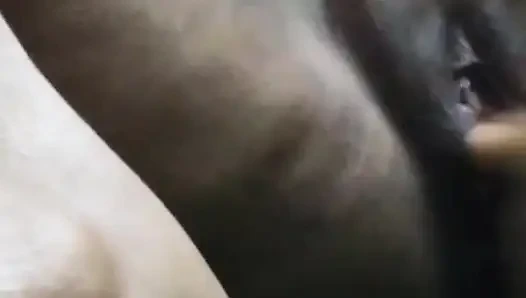 Bakalım hepiniz şişeyle nasıl seks yapıyor