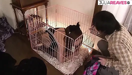 Сучку пробурили дилдо перед скачкой на огромном члене