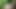 新しいデザインxxx