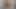 anal germe adam 91